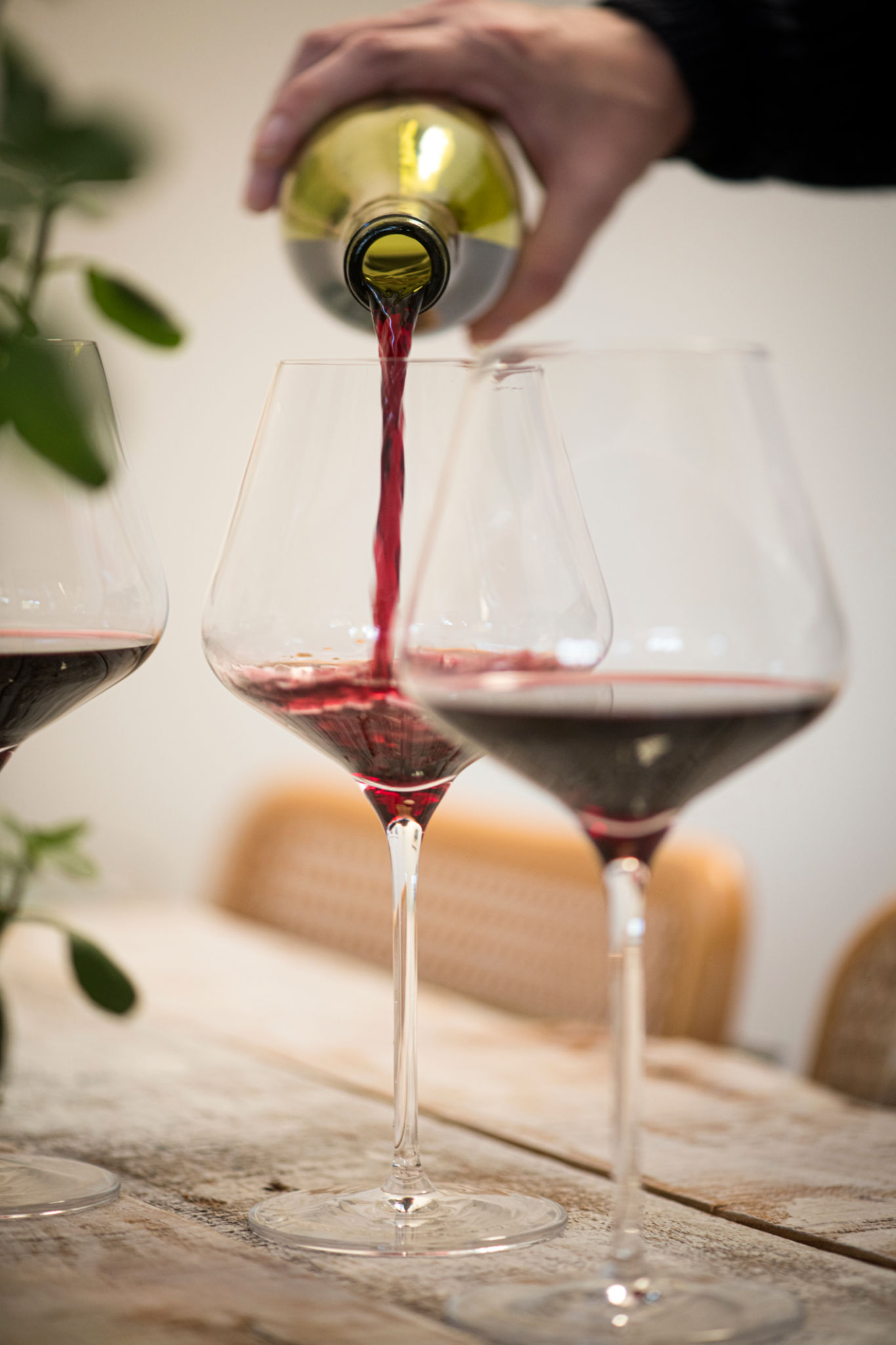 people tasting wine