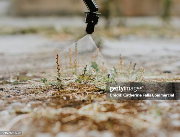 close-up of a nozzle spraying weed killer on weeds - uncultivated stock pictures, royalty-free photos & images