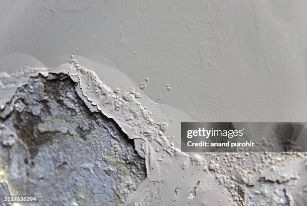 water leakage, wall bulging, paint peeling - leaking ceiling stock pictures, royalty-free photos & images