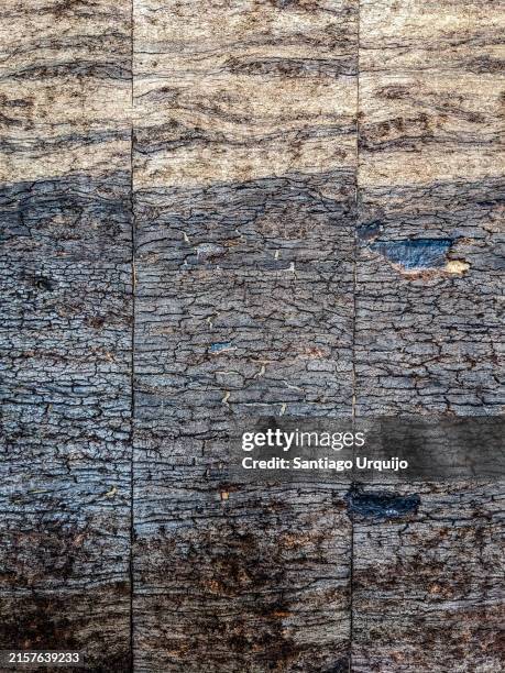 cross section of peat soil - bog stock pictures, royalty-free photos & images