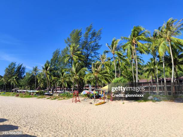 palm trees at kata noi beach, phuket, thailand - phuket province stock pictures, royalty-free photos & images