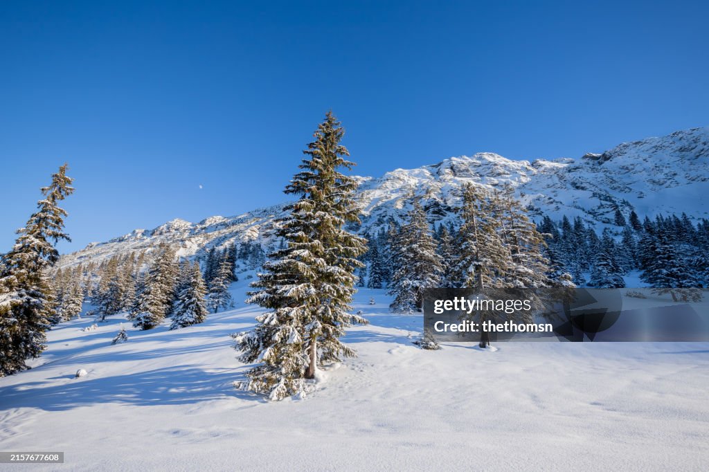 Bavarian winter alpine scene with blue sky, Germany