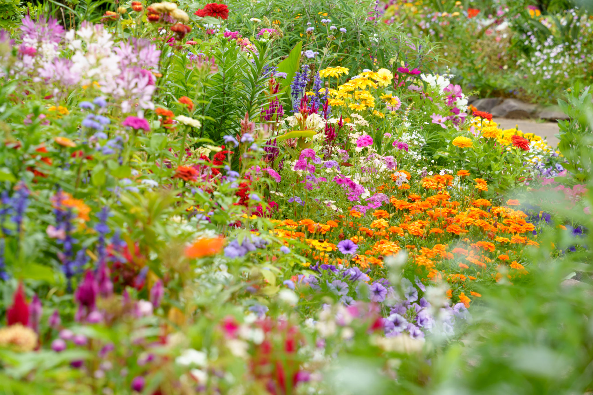 biodiversity garden