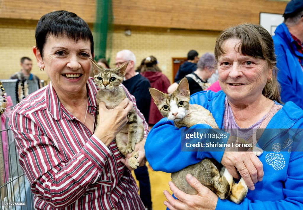 GCCF Lakeland Cat Show