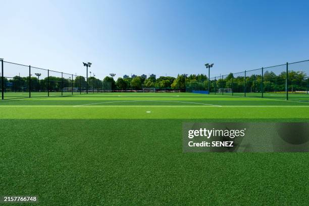 amateur football field surrounded by green trees - rugbyplatz stock-fotos und bilder