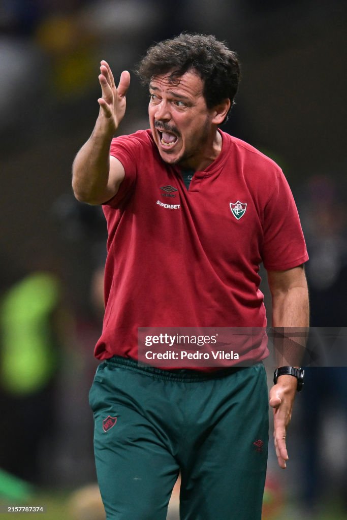 Cruzeiro v Fluminense - Brasileirao 2024