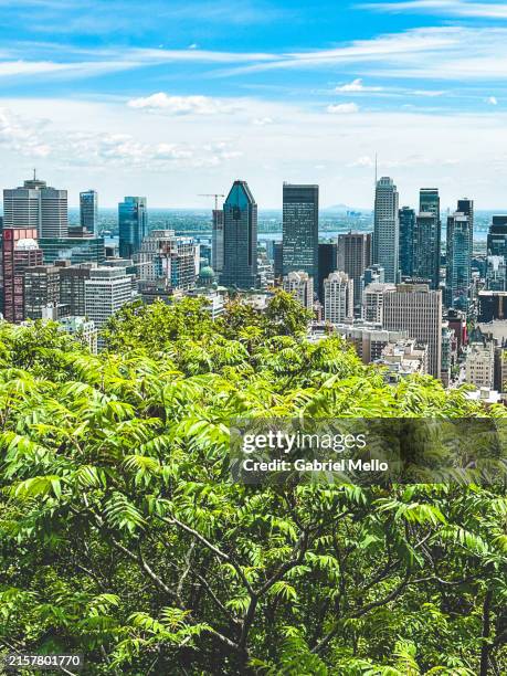 city view from mount royal in montreal - montreal stockfoto's en -beelden