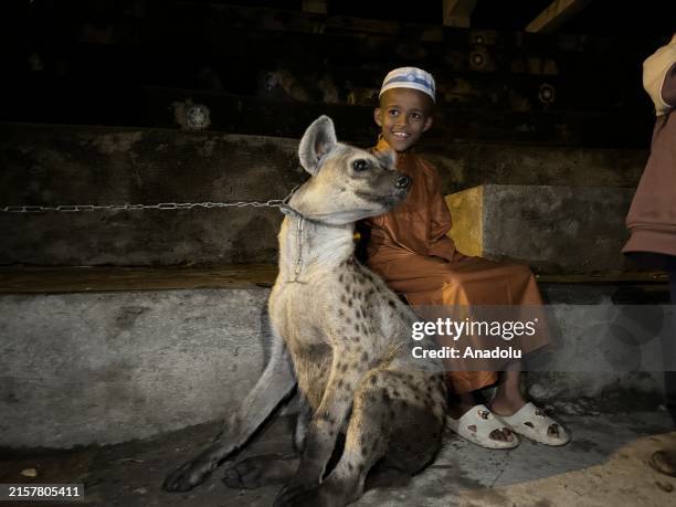 Hyena and a boy are seen in Harar, which is listed as a UNESCO World Heritage List that became a popular destination for both locals and tourists in...