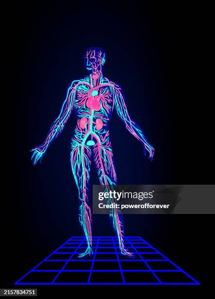 128 Human Body Organ Placement Stock Photos, High Biology Diagrams