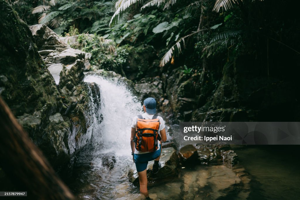 Jungle waterfall hike, Okinawa, Japan