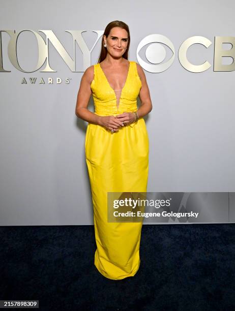 Brooke Shields poses during The 77th Annual Tony Awards at David H. Koch Theater at Lincoln Center on June 16, 2024 in New York City.