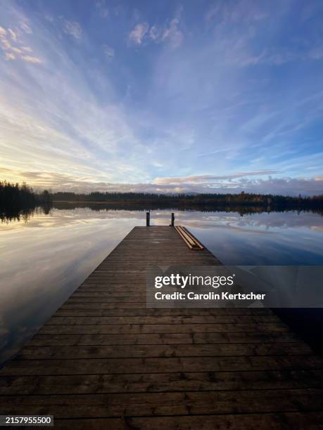 pier on the lake at sunrise | bavaria, germany - swimming competition cheer stock pictures, royalty-free photos & images