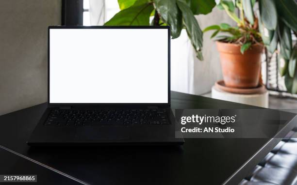 Computer Taable Background 575 Computer Table Plant Stock Photos, High-Res Pictures, and Images ...
