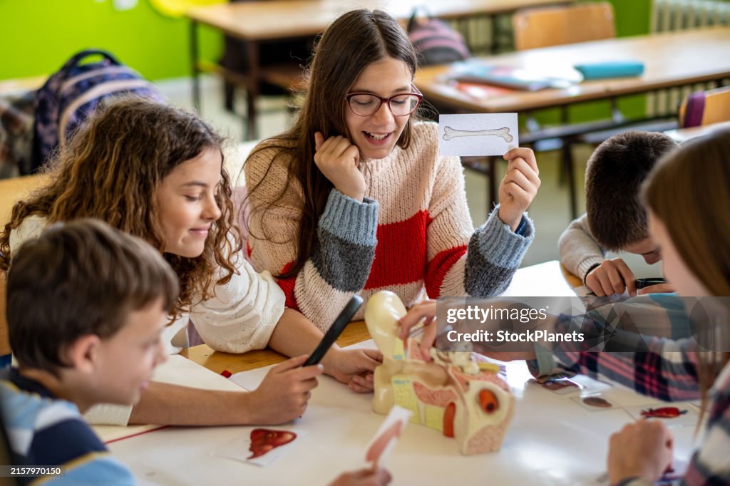 Teenagers at school show pictures of organs