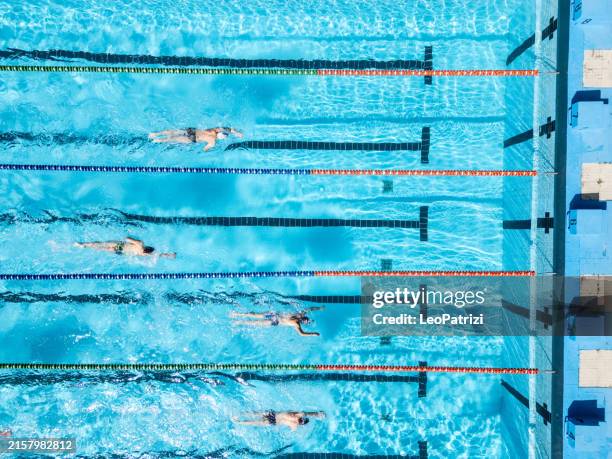 professional swimmers in a swimming pool - swimmer stock pictures, royalty-free photos & images