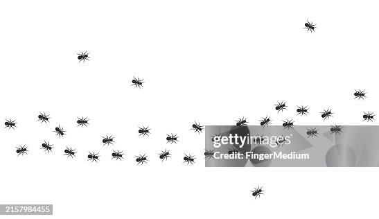 Ants walking vector set Ants walking vector set