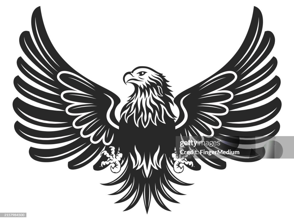 Eagle vector illustration