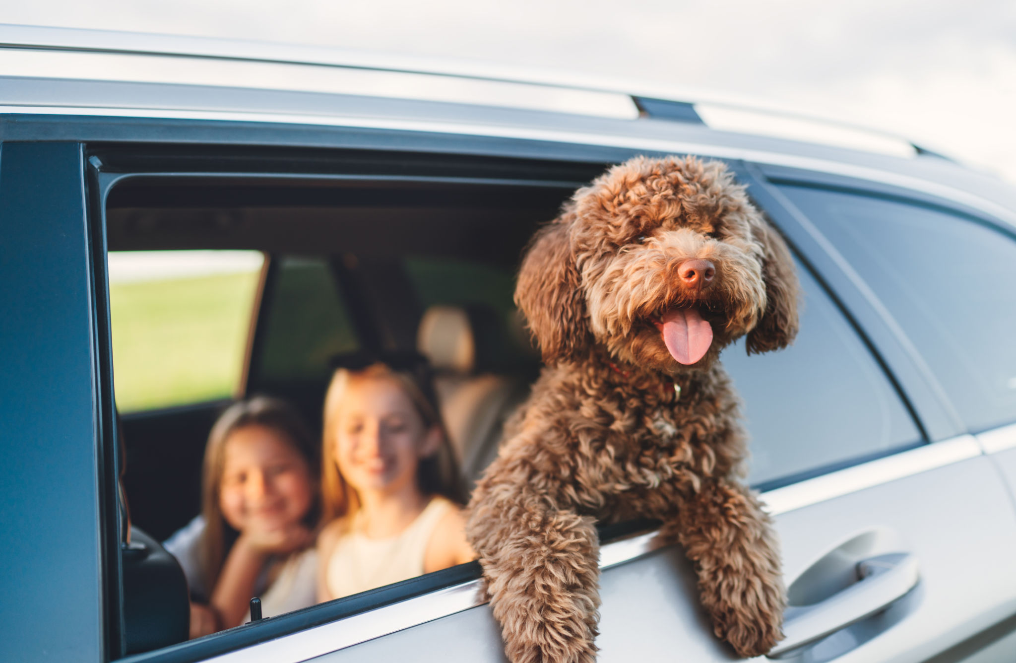 family with pets