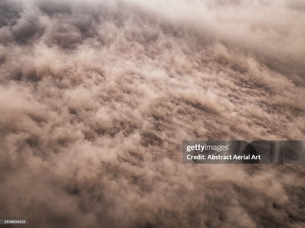 Aerial image above a huge sandstorm in the Australian outback, The Kimberley, Western Australia, Australia