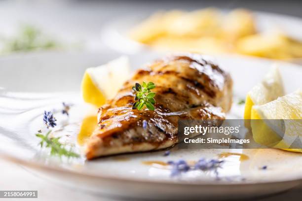 grilled chicken breast creatively prepared with lemon herbs and lavender on a plate in a restaurant. - gegrillte hühnerbrust stock-fotos und bilder