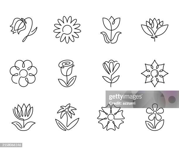 flowers continuous line icons. - sunflower drawing stock illustrations