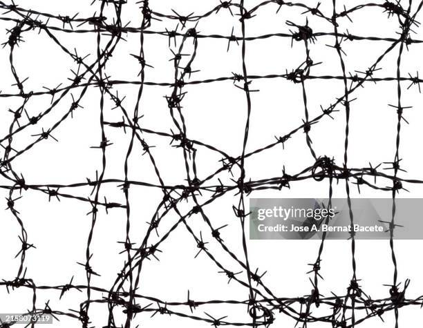 close-up of a metal fence with barbed wire on a white background. - valla de alambre fotografías e imágenes de stock