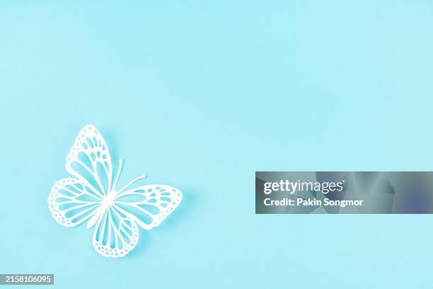 white butterfly paper cutting on blue color paper background, with copy space for design. - flugzeugflügel stock-fotos und bilder