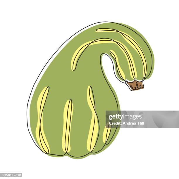 squash continuous line drawing with color elements. editable stroke for easy editing. - yellow squash stock illustrations