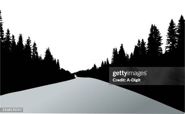 stockillustraties, clipart, cartoons en iconen met forestrytoaddesolate - bomenrij