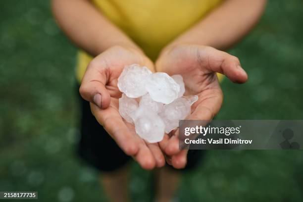 hands holding quarter sized hail stones. natural disaster concept. - granizo imagens e fotografias de stock