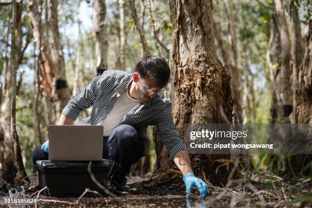 biologists are collecting water samples for testing, surveying the flora and fauna to collect data for study. - botanist stock pictures, royalty-free photos & images