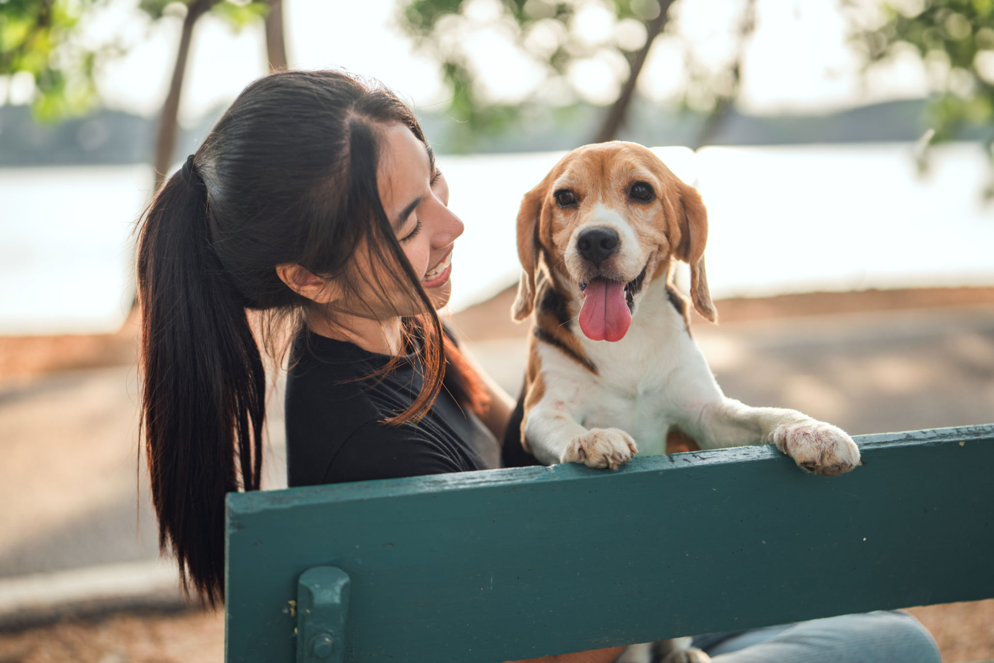 emotional support animal