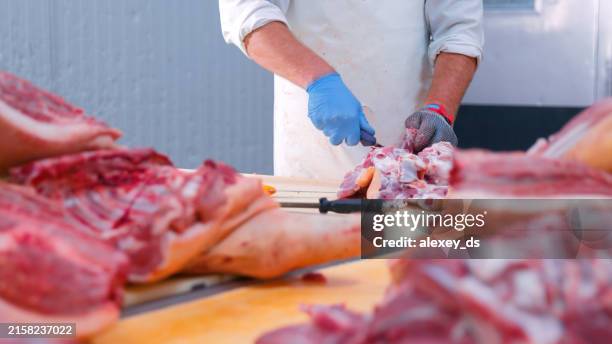 butcher processing pork in industrial meat facility - butcher stock pictures, royalty-free photos & images