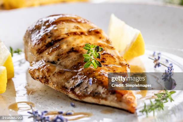 meat fillet from chicken breast baked with thyme, lemon and demiglas sauce. - pollo a la plancha fotografías e imágenes de stock