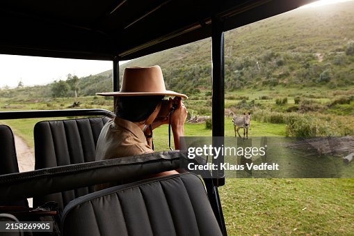 Young woman sitting in safari vehicle photographing zebra Young woman sitting in safari vehicle photographing zebra