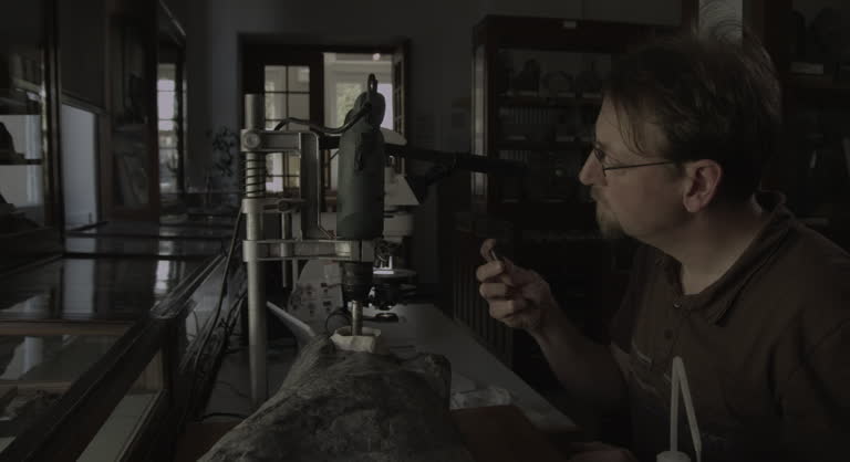 101 Paleontology Lab Stock Videos, Footage, & 4K Video Clips - Getty Images