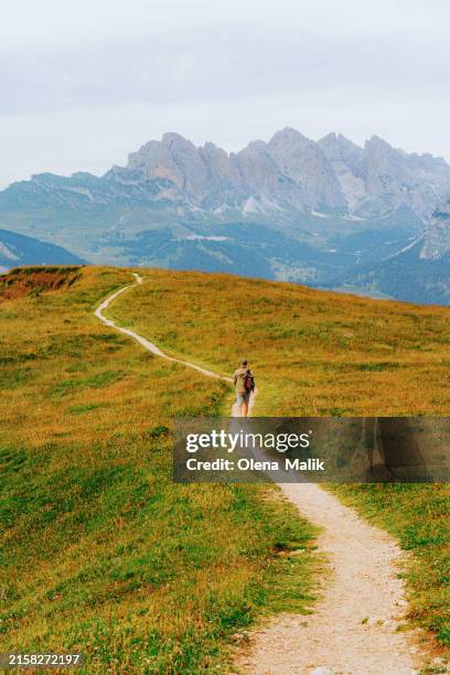 young man hiking in dolomites, south tyrol, italy - jahreszeiten stock-fotos und bilder