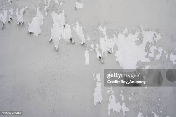 peeling paint on gray concrete wall. - peinture écaillée photos et images de collection