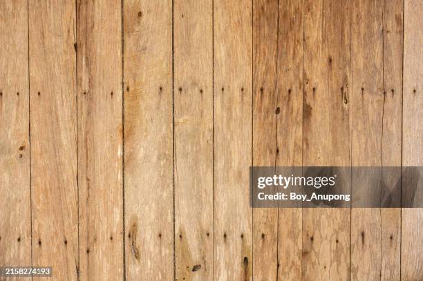 128 Seamless Wood Panel Texture Stock Photos, High-Res Pictures, and ...