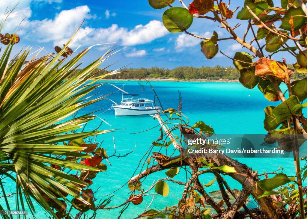 A boat from the local Aquarium and Zoo moored off the Nonsuch Island, Nature Reserve or Living Museum, Bermuda, North Atlantic, North America