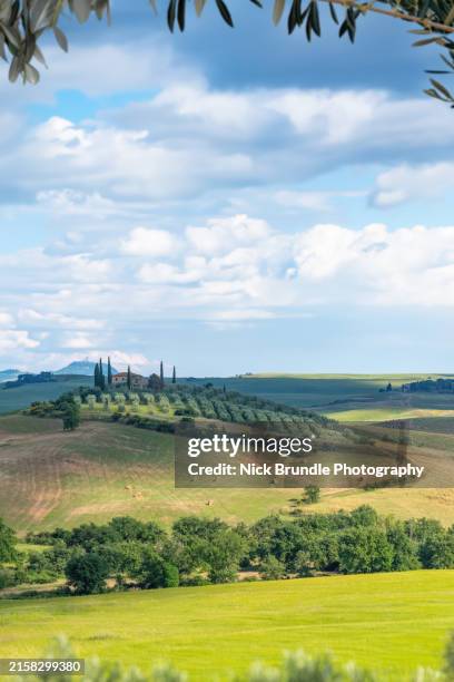 tuscan landscape, italy. - zypresse stock-fotos und bilder