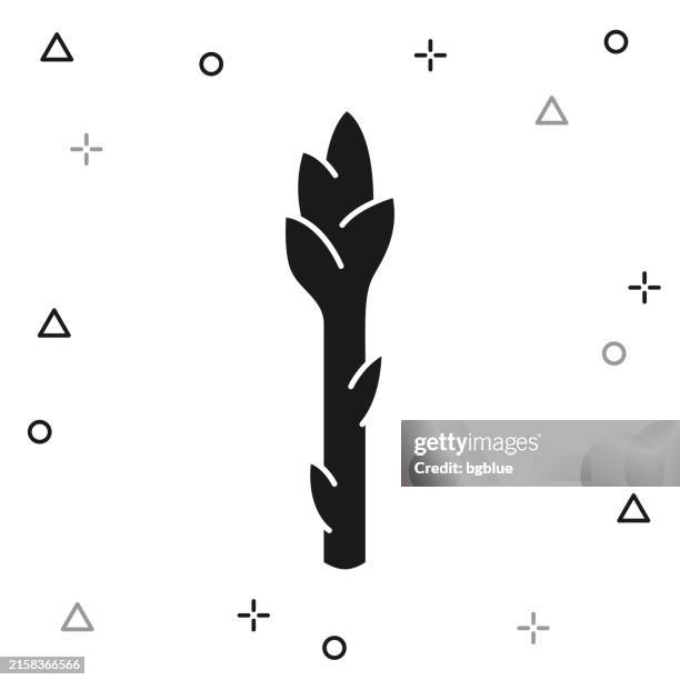 asparagus. icon on white background - asparagus stock illustrations