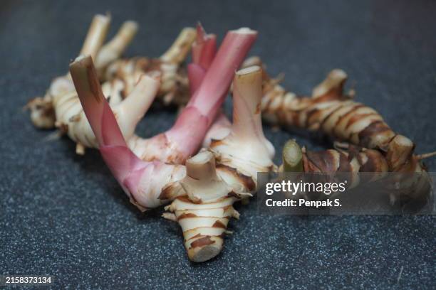 galangal root vegetable - thai breakfast stock pictures, royalty-free photos & images