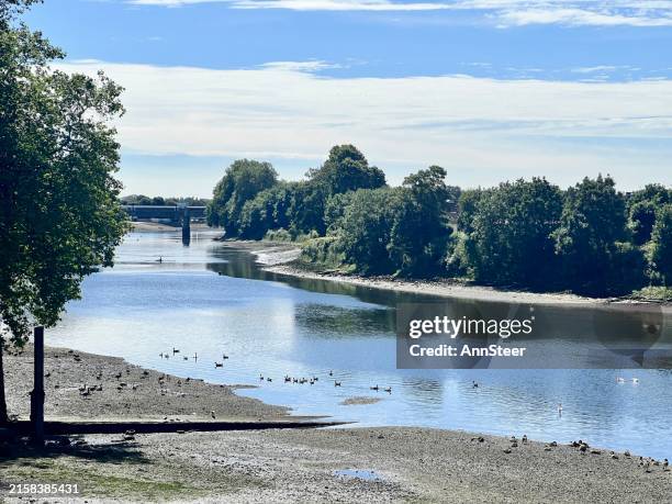 kew bridge - kew gardens stock pictures, royalty-free photos & images