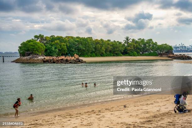 siloso beach with tourists. - tropical tree stock pictures, royalty-free photos & images