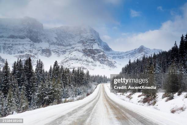 highway leading to snowcapped mountains - jasper-national-park stockfoto's en -beelden