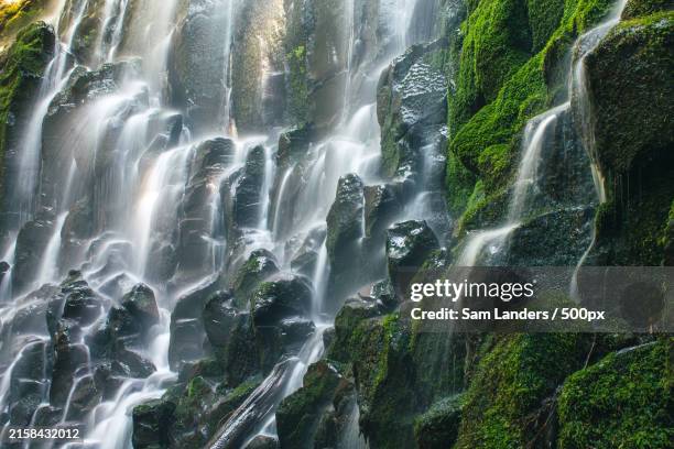 Sam Waterfall 8,348 Sam Rock Stock Photos, High-Res Pictures, and Images - Getty Images