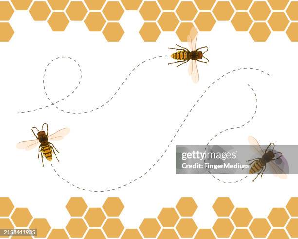 flying wasp vector illustration - wasp stock illustrations