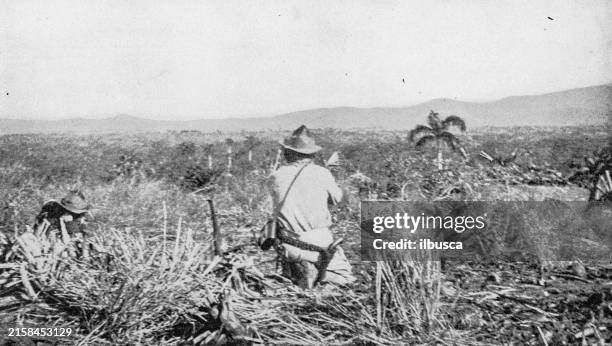 illustrations, cliparts, dessins animés et icônes de photographie ancienne de cuba pendant la guerre hispano-américaine, san juan, banlieue de santiago - santiago de cuba
