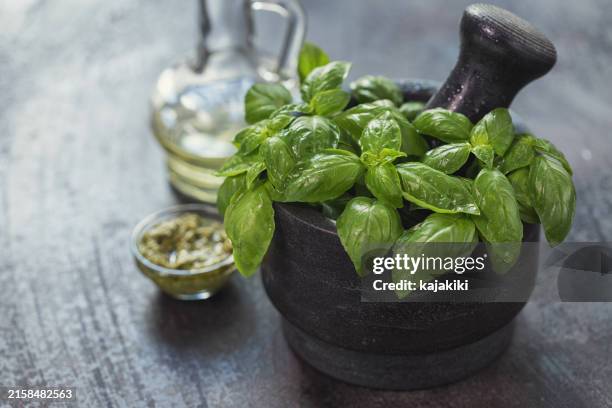 mortar with fresh basil - mortar and pestle stock pictures, royalty-free photos & images